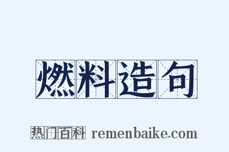 燃料造句是什么意思的图片